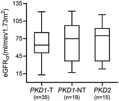 Progression to kidney failure in ADPKD: the PROPKD score underestimates the risk assessed by the Mayo imaging classification